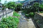 0830-3.JPG